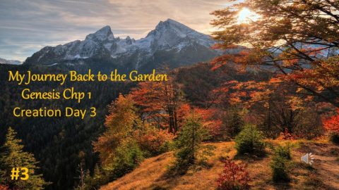 Genesis Day 3b
