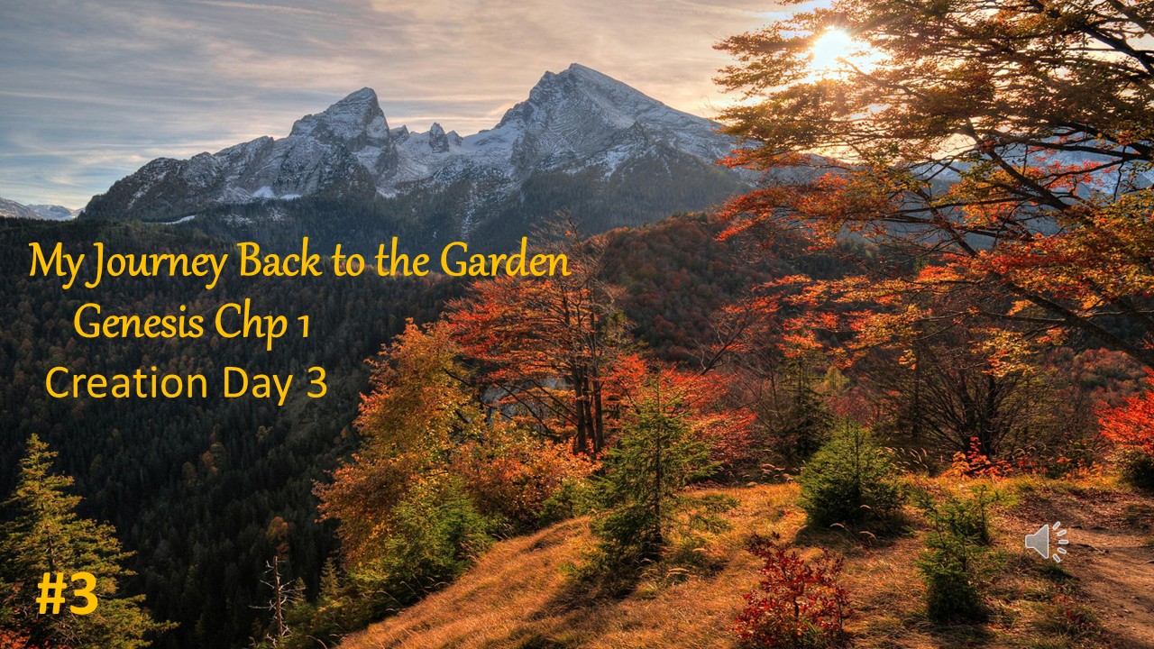 Genesis Day 3b