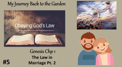 The Marriage Covenant and the Law of God part2