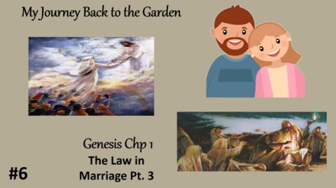 The Marriage Covenant and the Law of God part3